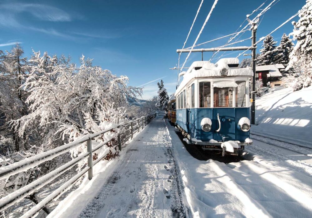 Καμβάς Τρένα 10.012.009