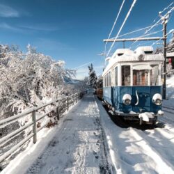 Καμβάς Τρένα 10.012.009