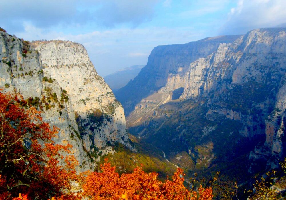 Καμβάς Βίκος 10.031.003