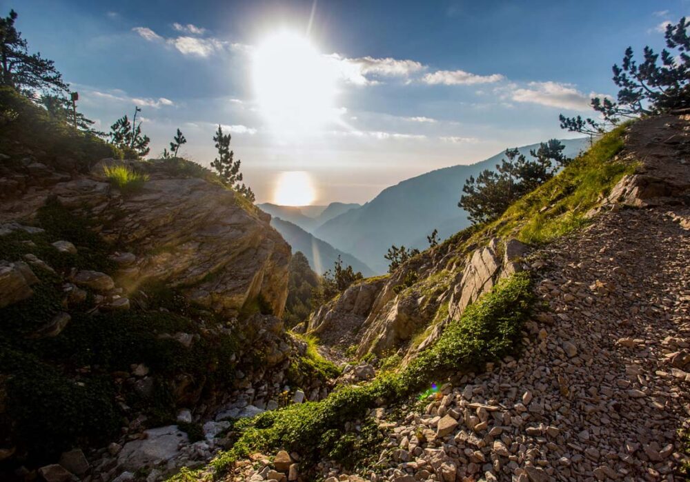 Καμβάς Όλυμπος 10.031.006