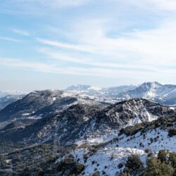 Καμβάς Παναχαϊκό Όρος 10.031.007