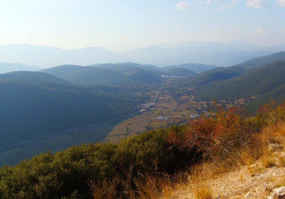 Καμβάς Πάπιγγο, Πίνδος 10.031.008