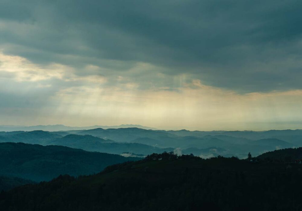 Καμβάς Ζάγκραντ, Σλοβενία 10.033.004