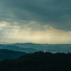 Καμβάς Ζάγκραντ, Σλοβενία 10.033.004