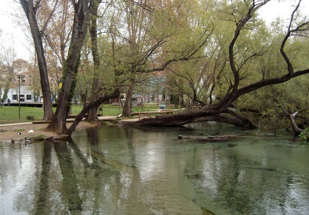 Καμβάς Δράμα, Πάρκο των πηγών 10.040.009